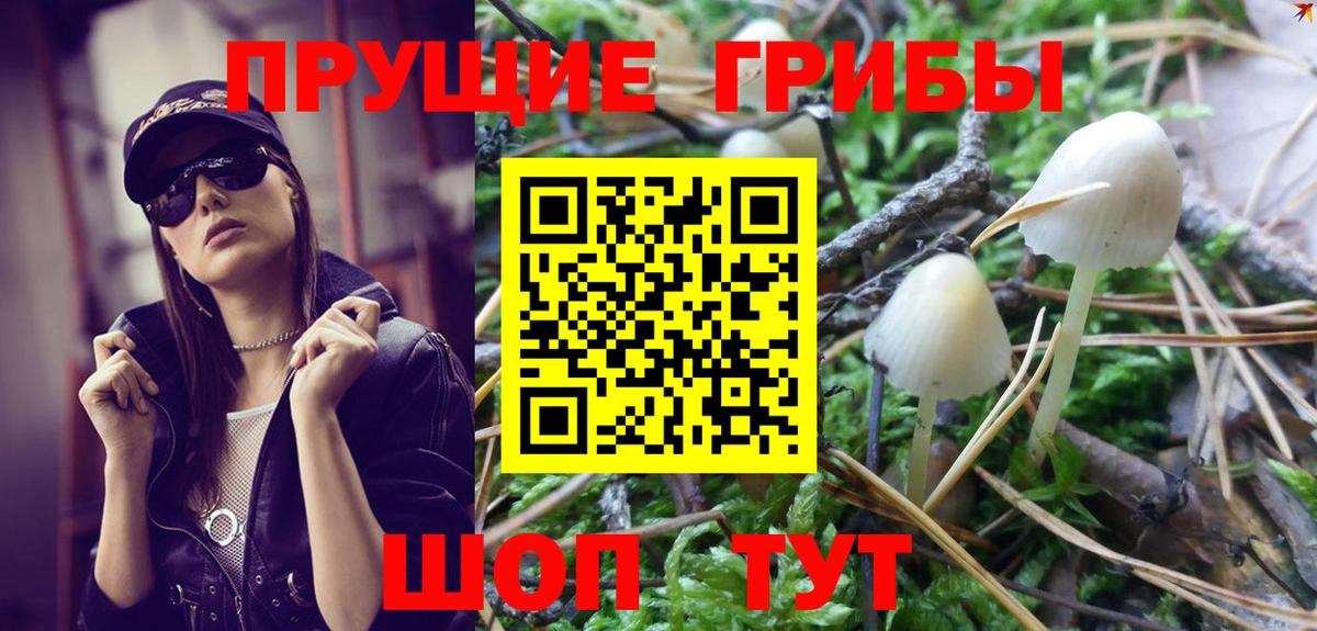 Южно-Сахалинск  купить наркоту  Вход с VPN  Псилоцибиновые грибы GOLDEN TEACHER 